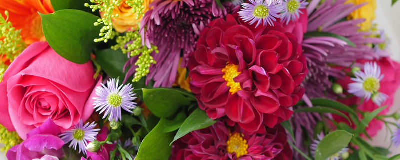 Bold & bright