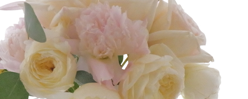 Soft & romantic